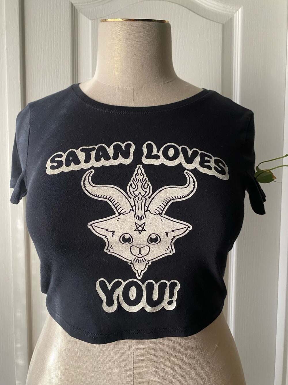 BlackCraft Cult Satan Loves You Baphomet Crop Top